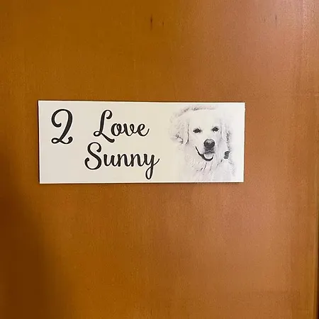 Sunny, The House - Al