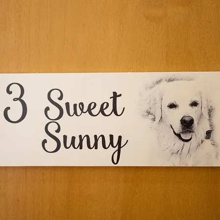 Hostel Sunny, The House - Al