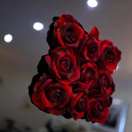 Sunny, The House - Al Hostel *