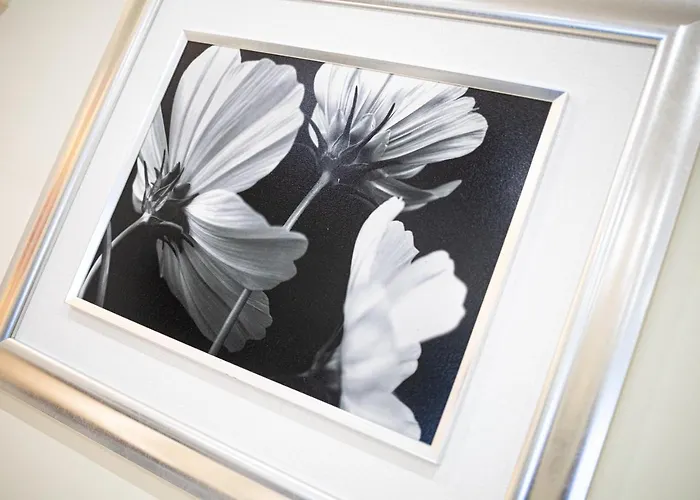 Sunny, The House - Al Vandrarhem Faro