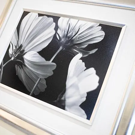 Sunny, The House - Al 호스텔 파로