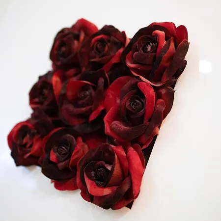 호스텔 Sunny, The House - Al *